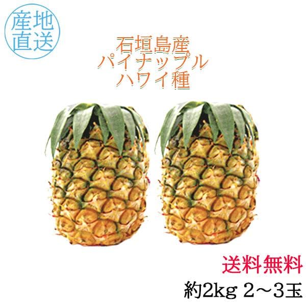 沖縄県産フルーツのカテゴリ画像