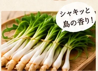 島らっきょう（シャキッと島の香り！）